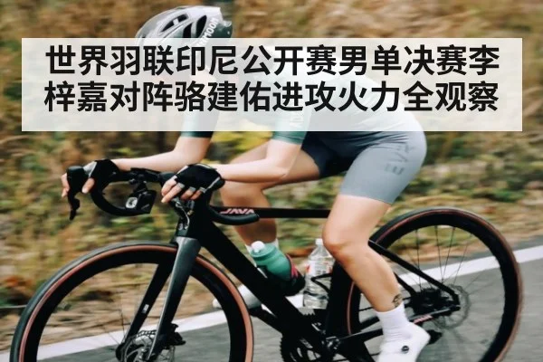 世界羽联印尼公开赛男单决赛李梓嘉对阵骆建佑进攻火力全观察